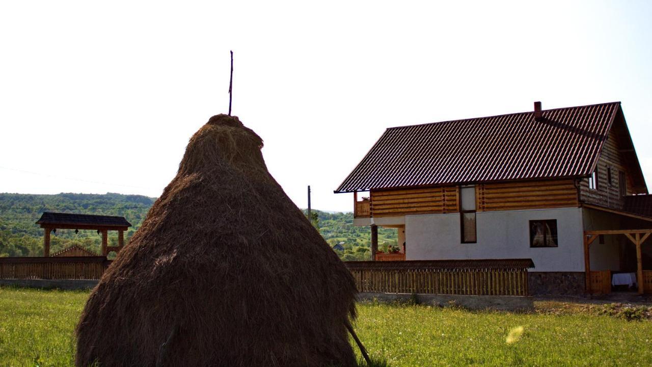 Acasa In Maramures Hotel Feresti Exterior photo